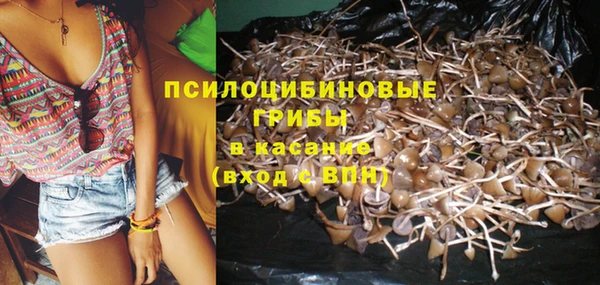 дмт Алексин