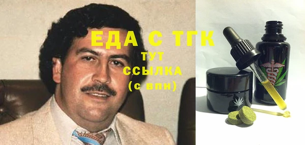 дмт Алексин