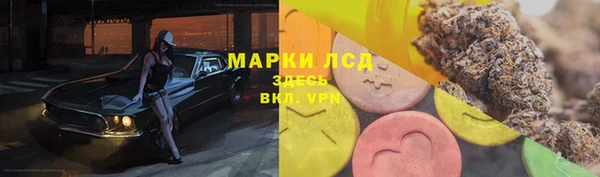 дмт Алексин
