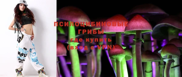 винт Саяногорск