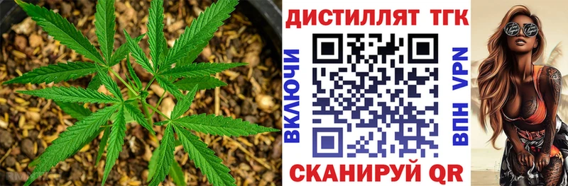 darknet телеграм  Змеиногорск  Дистиллят ТГК жижа  наркотики  мега как зайти 